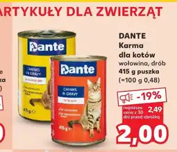 Kaufland Karma dla kota oferta