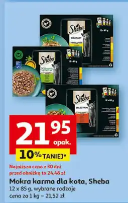 Auchan Mokra karma dla kota Sheba oferta