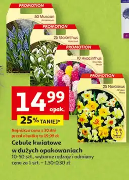 Auchan Cebule kwiatowe O oferta