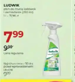 Jawa Drogerie Ludwik płyn do mycia lodówek i zamrażarek oferta