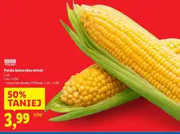 Lidl Kukurydza świeża polska 2 szt. Lidl oferta