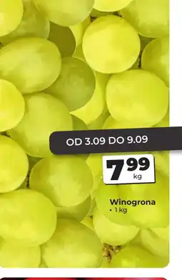 Odido Winogrona oferta