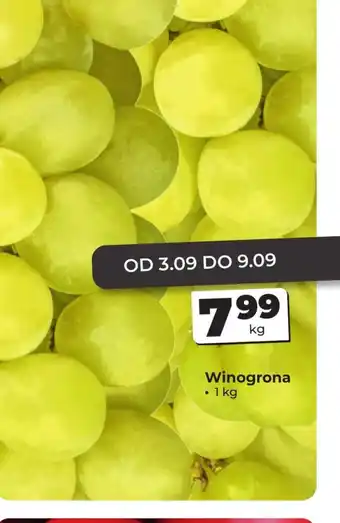 Odido Winogrona oferta
