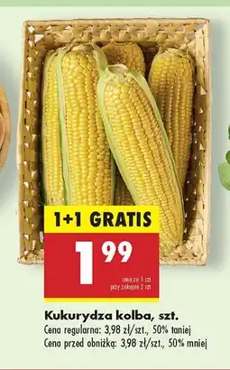Biedronka Kukurydza kolba Biedronka oferta