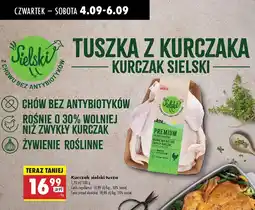 Biedronka Kurczak sielski tuszka oferta