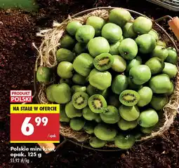 Biedronka Polskie mini kiwi Biedronka oferta