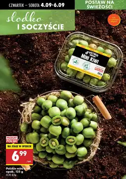 Biedronka Kiwi mini polskie Warzywniak oferta