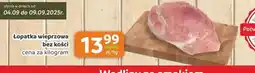 Gama Lopatka wieprzowa bez kości oferta