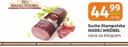 Gama Sucha Staropolska Madej Wróbel oferta