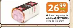 Gama Golonko w galarecie mini MADEJ WROBEL oferta