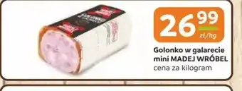 Gama Golonko w galarecie mini MADEJ WROBEL oferta