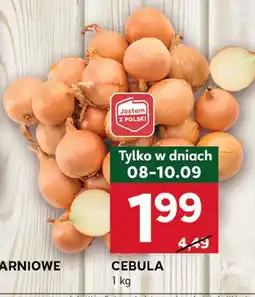 Stokrotka Cebula Stokrotka oferta