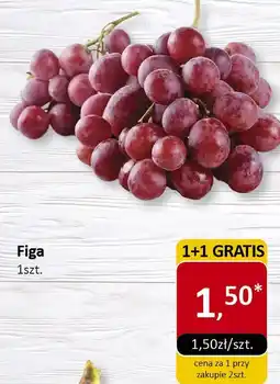 Market Point Winogrono różowe Market Point oferta