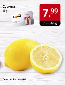 Market Point Cytryna Market Point oferta