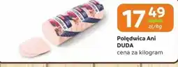 Gama Polędwica Ani Duda oferta