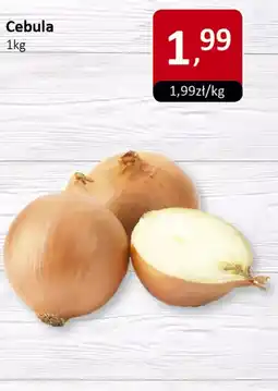 Market Point Cebula Market Point oferta