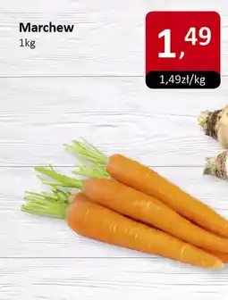 Market Point Marchew Market Point oferta