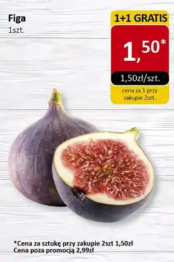 Market Point Figa Market Point oferta