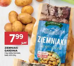 Stokrotka Ziemniaki Gardinia kremowe oferta