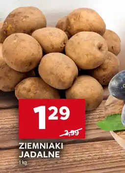 Stokrotka Ziemniaki jadalne Stokrotka oferta
