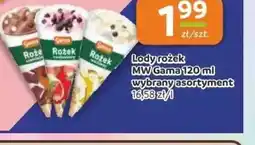 Gama Lody rożek MW Gama oferta