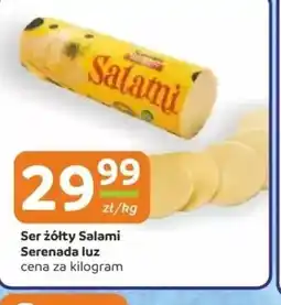 Gama Ser żółty Salami Serenada luz oferta