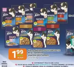 Gama Karma dla kota Felix Fantastic oferta