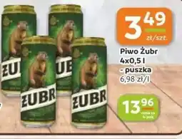 Gama Piwo Zubr oferta