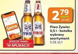 Gama Piwo Zywiec oferta