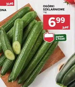 Stokrotka Ogórki szklarniowe oferta