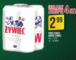 Market Jan Piwo Zywiec oferta