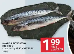 Selgros Makrela patroszona Selgros oferta