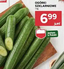 Stokrotka Market Ogórki szklarniowe oferta
