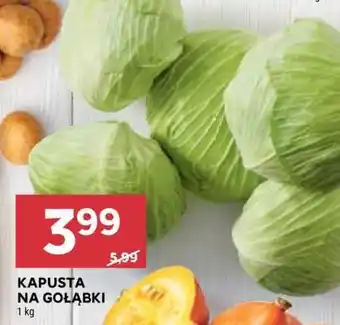 Stokrotka Market Kapusta na gołąbki oferta