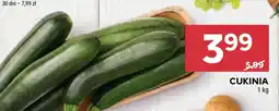 Stokrotka Market Cukinia oferta