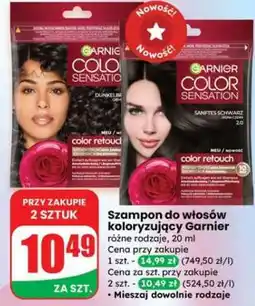 Dino Szampon do włosów koloryzujący Garnier oferta