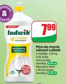 Dino Płyn do mycia naczyń Ludwik oferta