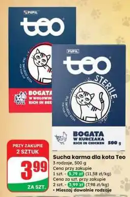 Dino Sucha karma dla kota Teo oferta