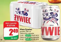 Dino Piwo Żywiec oferta