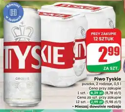 Dino Piwo Tyskie oferta