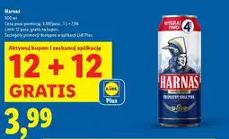 Lidl Harnaś oferta