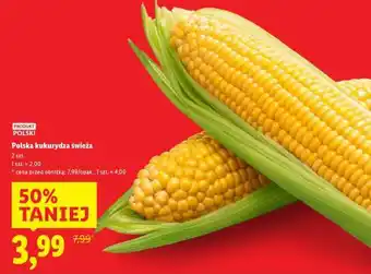 Lidl Polska kukurydza świeża oferta