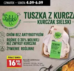 Biedronka Kurczak premium Sielski oferta