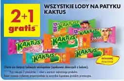 Biedronka Lód patec jungle Nestle Kaktus oferta