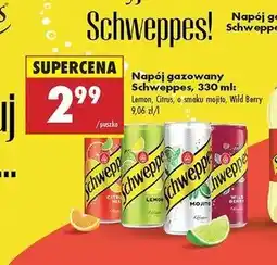 Biedronka Napój wild berries Schweppes oferta