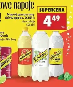 Biedronka Napój mojito Schweppes oferta