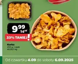 Netto Kurki - całe oferta