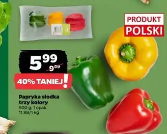 Netto Papryka trzy kolory oferta