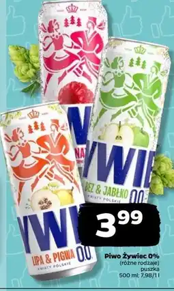 Netto Piwo Żywiec Malinaż oferta