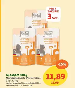 Maxi Zoo Mokra karma dla kota oferta